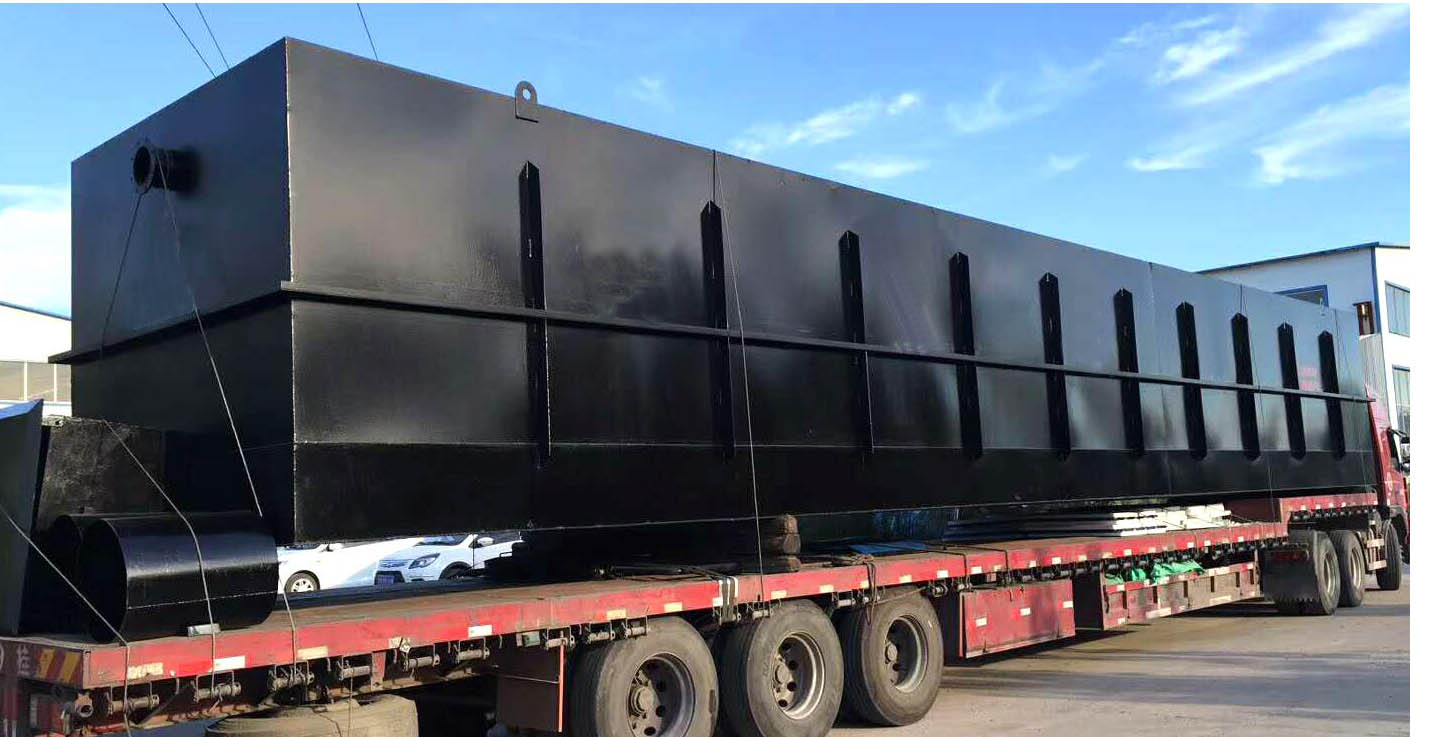 1638064824351735.jpg 4.jpg